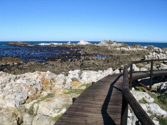 Kleinmond Panorama