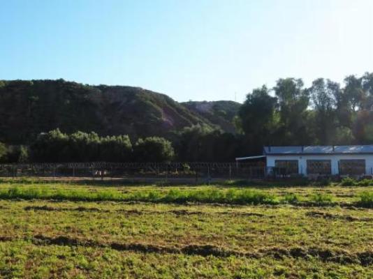 Soeterus Guest Farm - Natural landscape