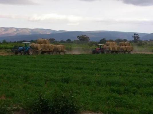 Soeterus Guest Farm - Natural landscape