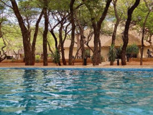 Phakela Private Game Lodge - Swimming pool