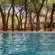 Phakela Private Game Lodge - Swimming pool