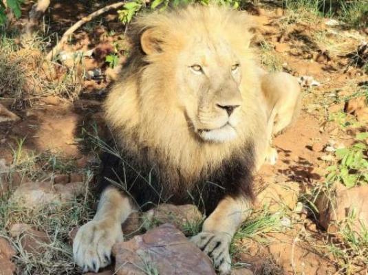 Phakela Private Game Lodge - Natural landscape