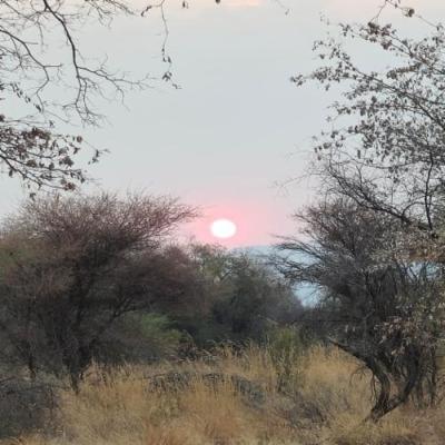 Phakela Private Game Lodge - Natural landscape