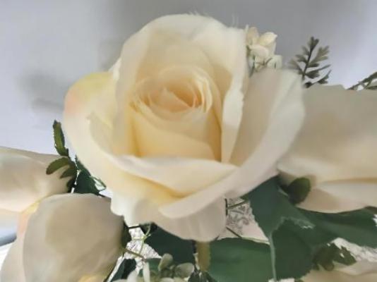 208 On Circular - Decorative detail