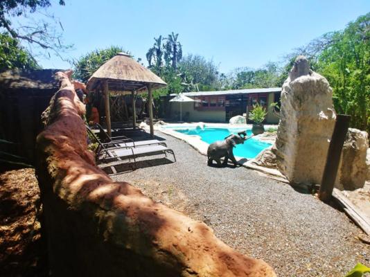 Pumusa Bushcamp - 257315