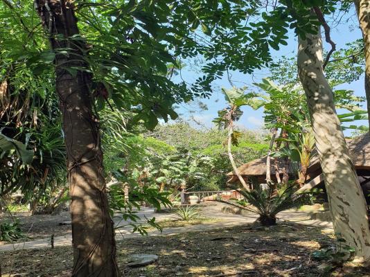 Pumusa Bushcamp - 257327