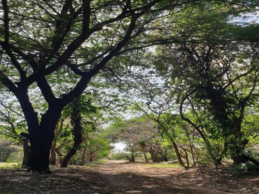 Pumusa Bushcamp - 257338