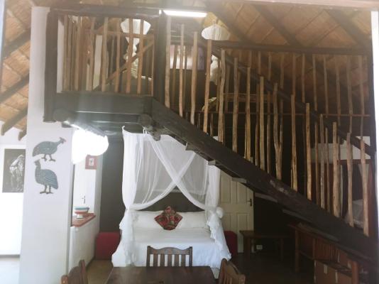 Pumusa Bushcamp - 257349