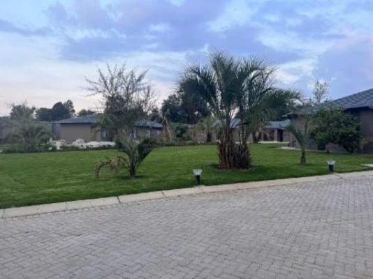 Coconut Lodge - Garden