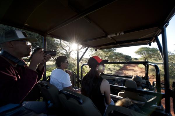 Mokala National Park - 257509