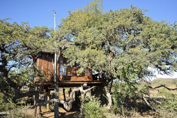 Mokala National Park - 257510