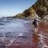 Garden Route (Tsitsikamma, Knysna, Wilderness) National Park - 257519