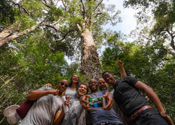 Garden Route (Tsitsikamma, Knysna, Wilderness) National Park - 257520