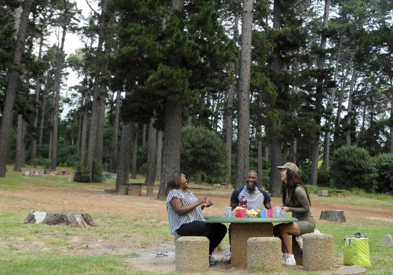 Table Mountain National Park Tented Accommodation - 257525