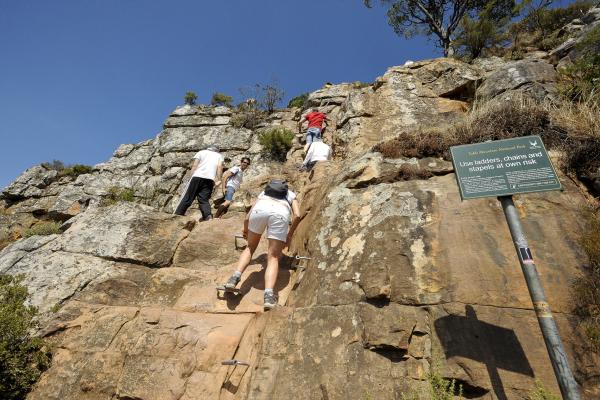 Table Mountain National Park Tented Accommodation - 257528