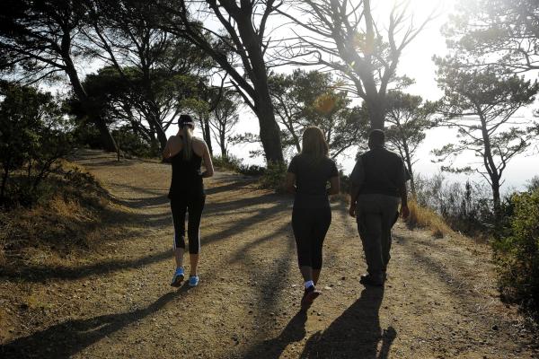 Table Mountain National Park Tented Accommodation - 257529