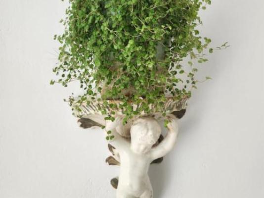 The Richmond Cafe & Rooms - Garden