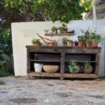 The Richmond Cafe & Rooms - Garden