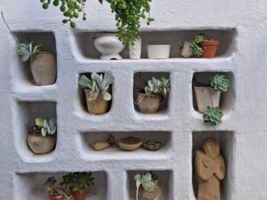 The Richmond Cafe & Rooms - Garden