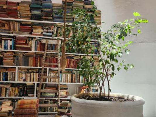 The Richmond Cafe & Rooms - Library 