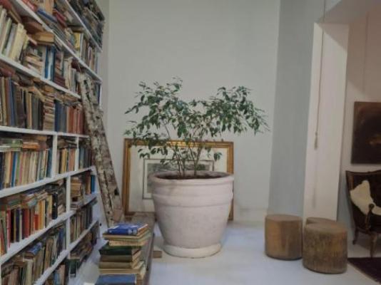 The Richmond Cafe & Rooms - Library 