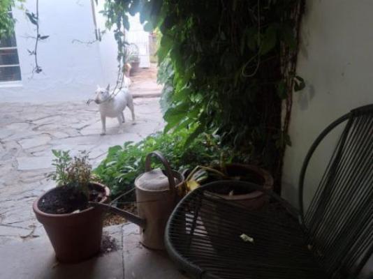 The Richmond Cafe & Rooms - Garden