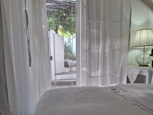 The Richmond Cafe & Rooms - 257694