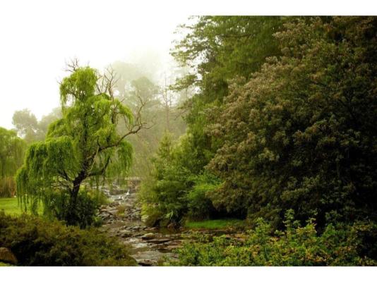 Hawklee Country House - 257723