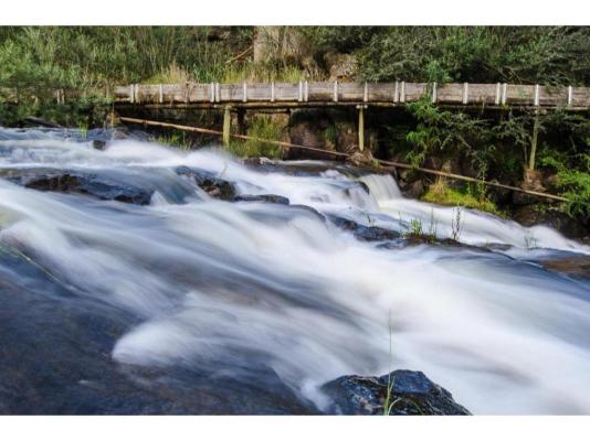 Hawklee Country House - 257726