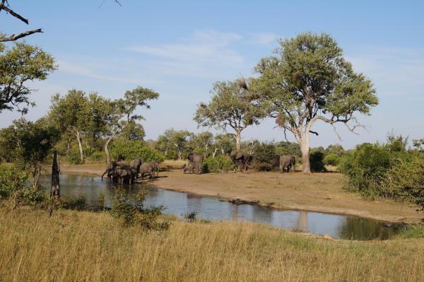 Talamati Bushveld Camp - Kruger Park - 258023