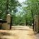 Sirheni Bushveld Camp - Kruger Park - 258032