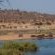Shimuwini Bushveld Camp - Kruger Park - 258043