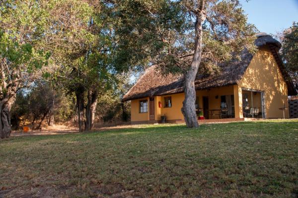 Shimuwini Bushveld Camp - Kruger Park - 258045