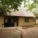 Biyamiti Bushveld Camp - Kruger Park - 258051