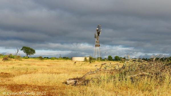 Biyamiti Bushveld Camp - Kruger Park - 258055