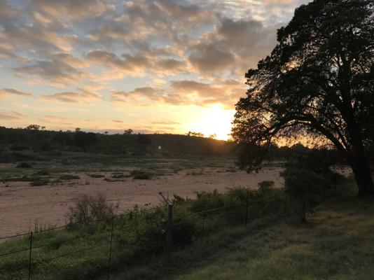 Biyamiti Bushveld Camp - Kruger Park - 258057