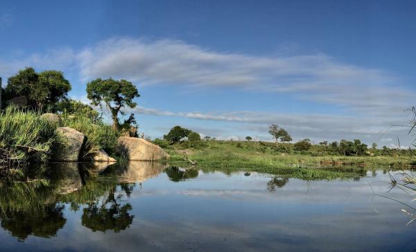 Biyamiti Bushveld Camp - Kruger Park - 258058