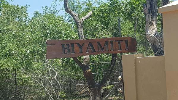 Biyamiti Bushveld Camp - Kruger Park - 258059