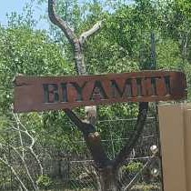 Biyamiti Bushveld Camp - Kruger Park - 258059