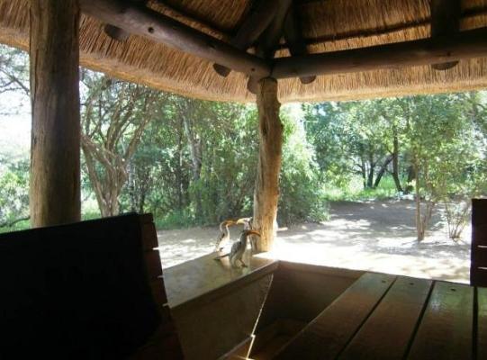 Bateleur Bushveld Camp - Kruger Park - 258061