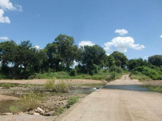 Bateleur Bushveld Camp - Kruger Park - 258062