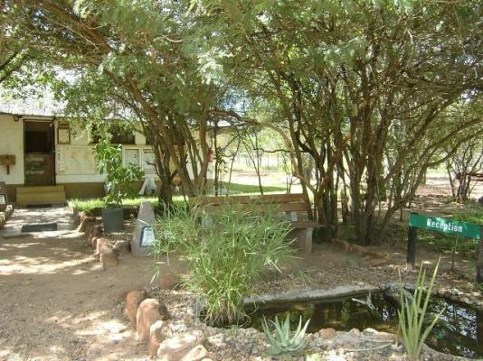 Bateleur Bushveld Camp - Kruger Park - 258065