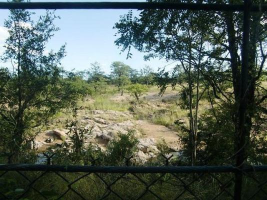Bateleur Bushveld Camp - Kruger Park - 258067