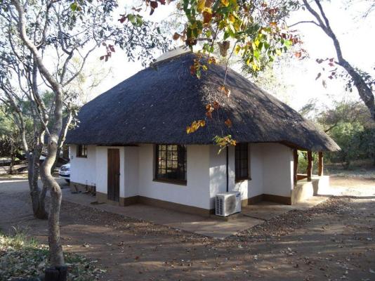 Bateleur Bushveld Camp - Kruger Park - 258068
