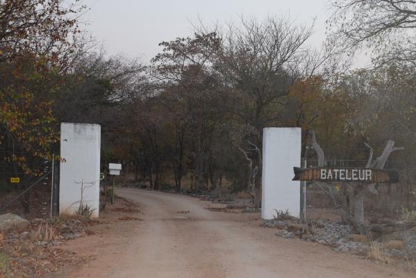 Bateleur Bushveld Camp - Kruger Park - 258071
