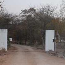 Bateleur Bushveld Camp - Kruger Park - 258071