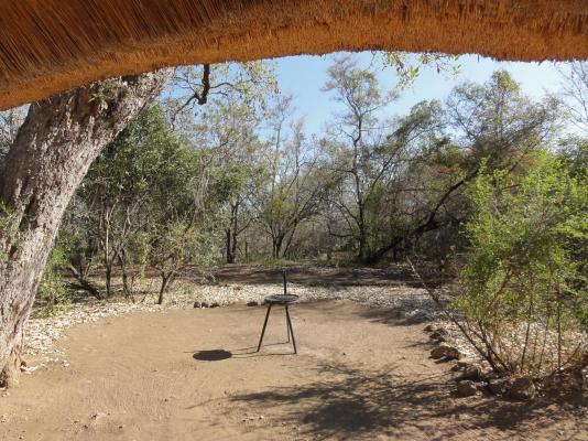Bateleur Bushveld Camp - Kruger Park - 258075