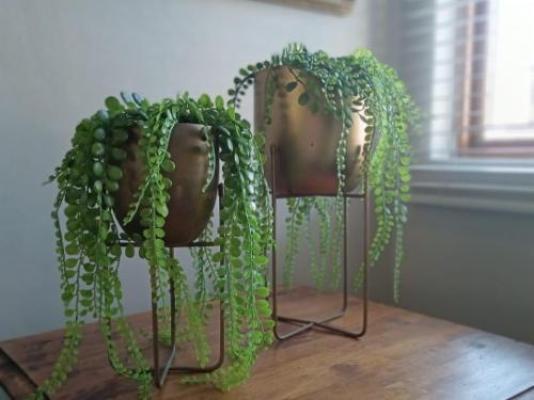 Hillton Manor Self-catering Accommodation - Decorative detail