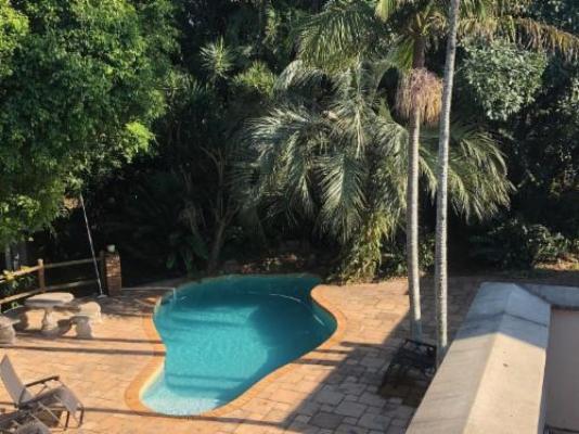 Cycasia Lodge - Swimming pool