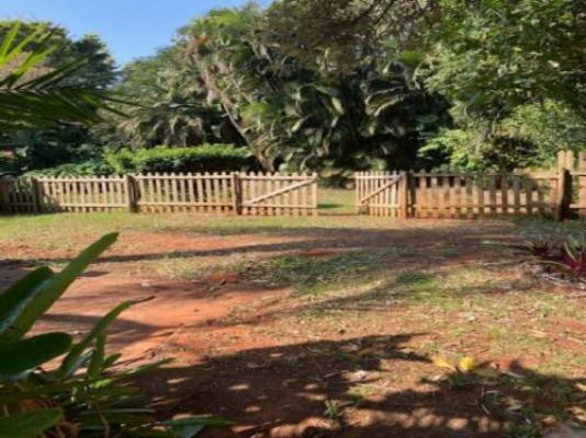 Cycasia Lodge - Garden